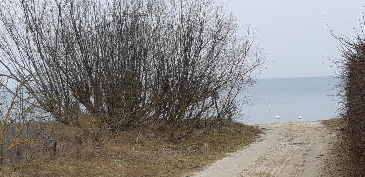 Лора Βίλα Lapmežciems Εξωτερικό φωτογραφία